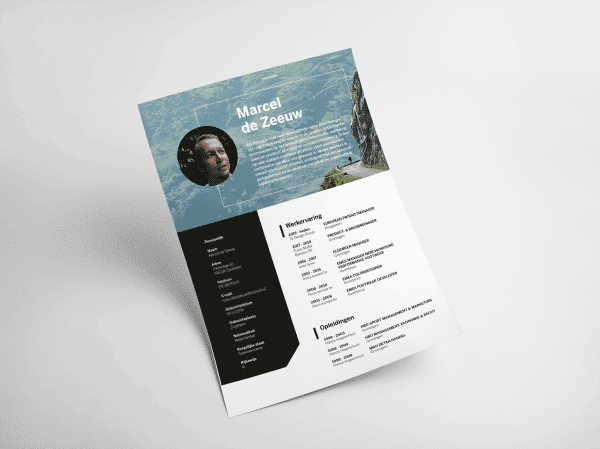 Curriculum Vitae (CV)
